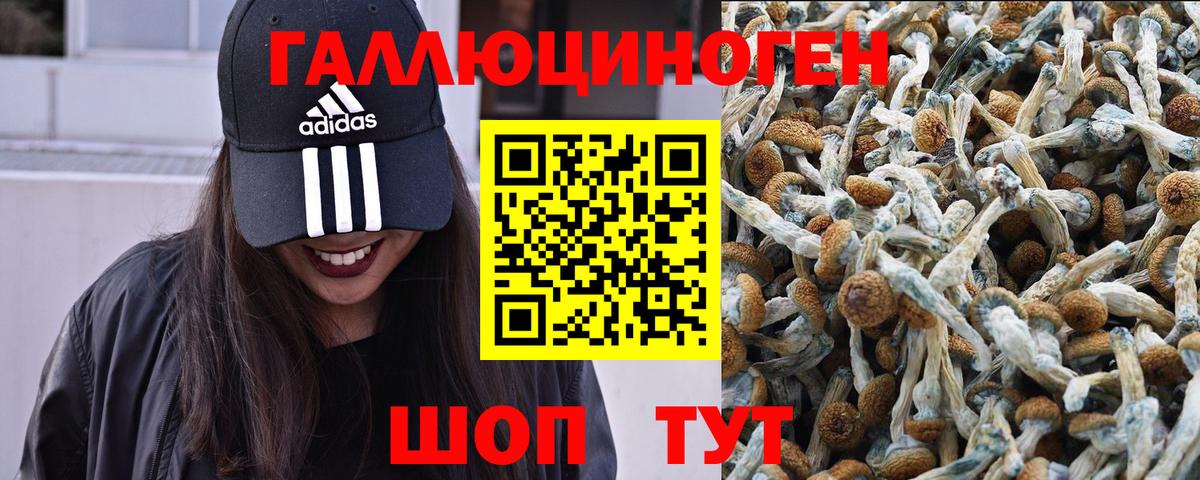 Галлюциногенные грибы мухоморы Крымск
