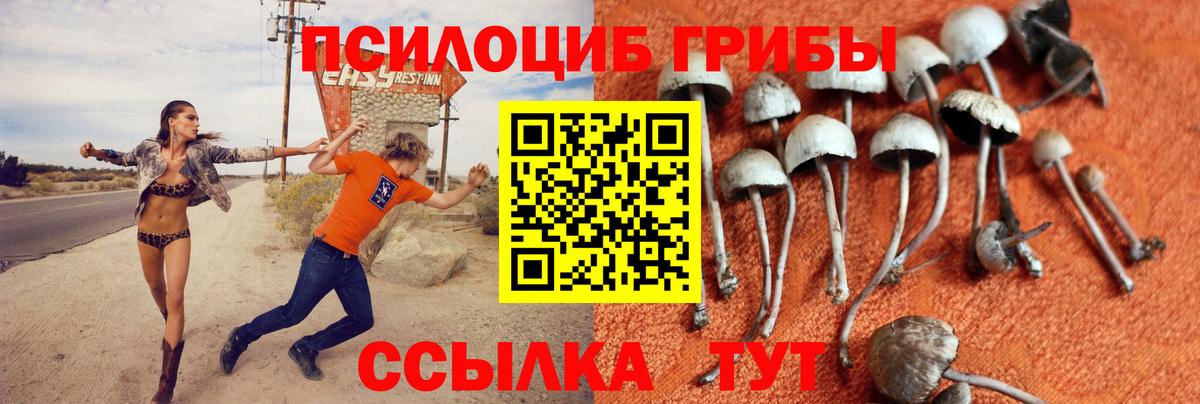 Крымск  Галлюциногенные грибы MAGIC MUSHROOMS  Вход с VPN  Псилоцибиновые грибы ЛСД 